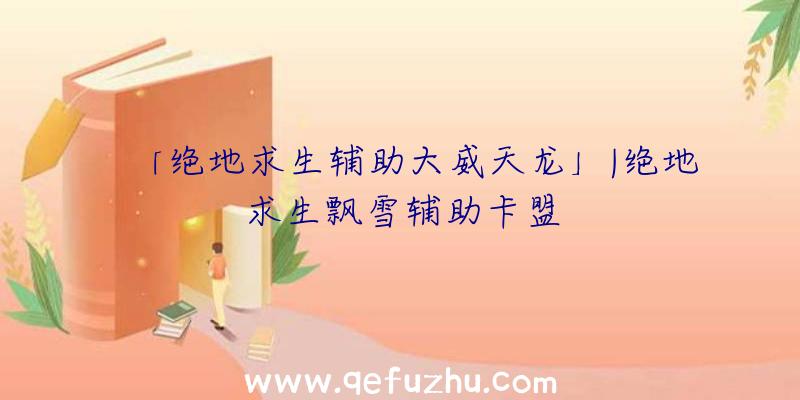 「绝地求生辅助大威天龙」|绝地求生飘雪辅助卡盟